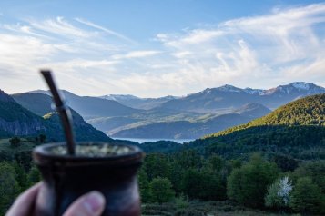 Yerba maté: Poznejte posvátnou cesmínu paraguayskou z Jižní Ameriky